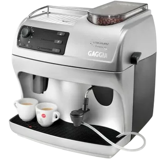 Замена жерновов Gaggia Synchrony Logic RS RI9748/11